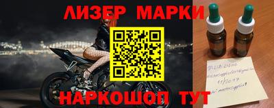 a pvp Новозыбков