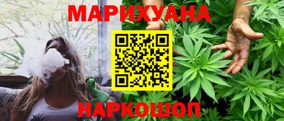 a pvp Новозыбков