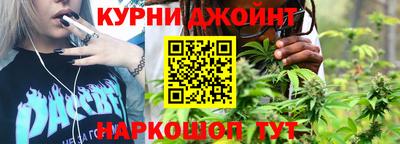 a pvp Новозыбков