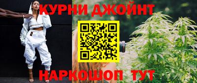 a pvp Новозыбков