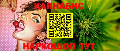 a pvp Новозыбков