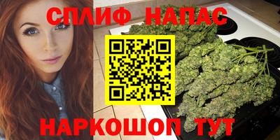 a pvp Новозыбков